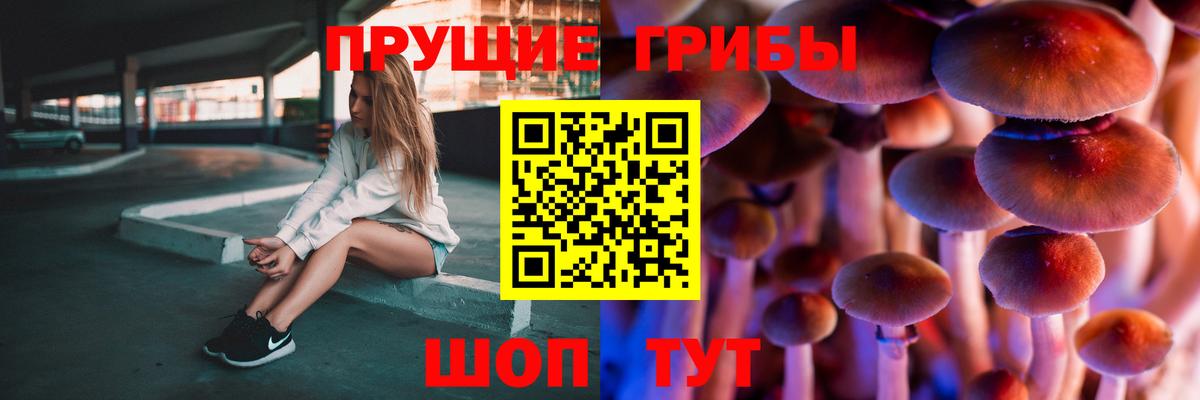 Татарск  Псилоцибиновые грибы Psilocybe  даркнет сайт  Псилоцибиновые грибы Cubensis  Вход с VPN 